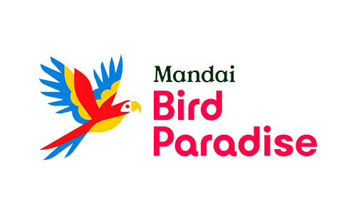 mandaibird